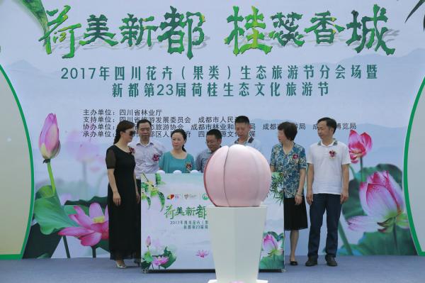 四川演出公司都能提供哪些服務